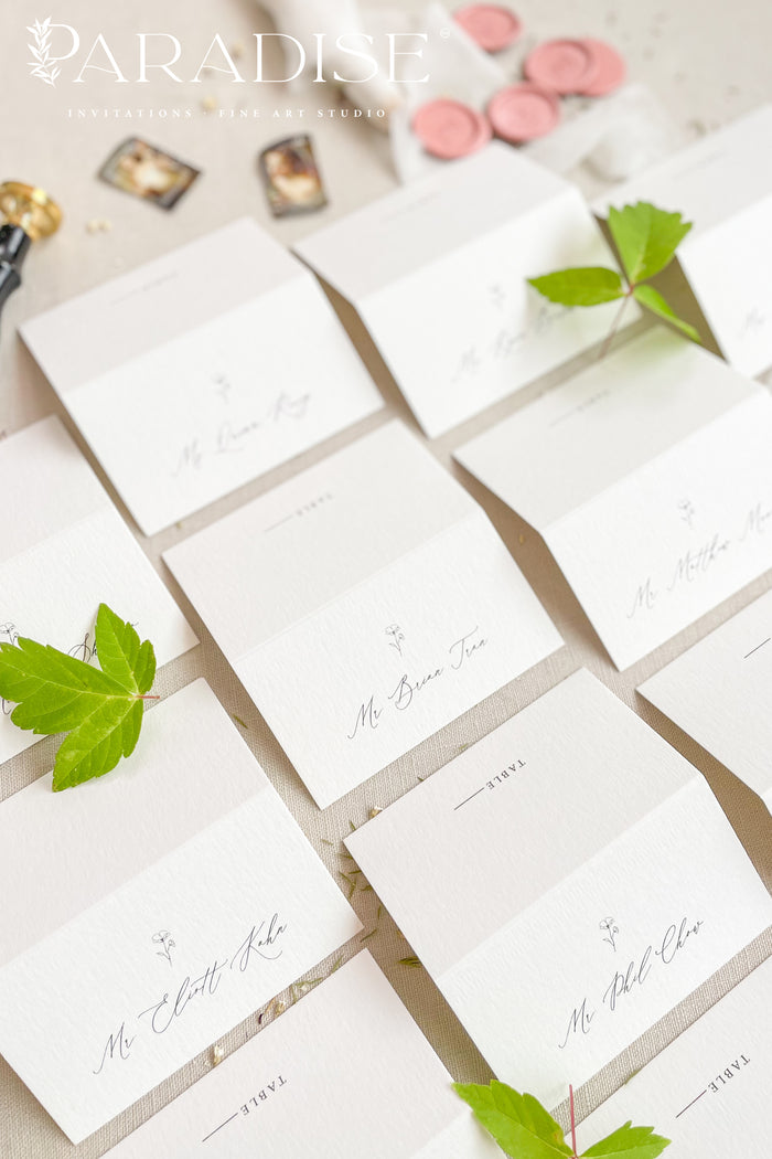 Iolanthe Calligraphy Place Cards