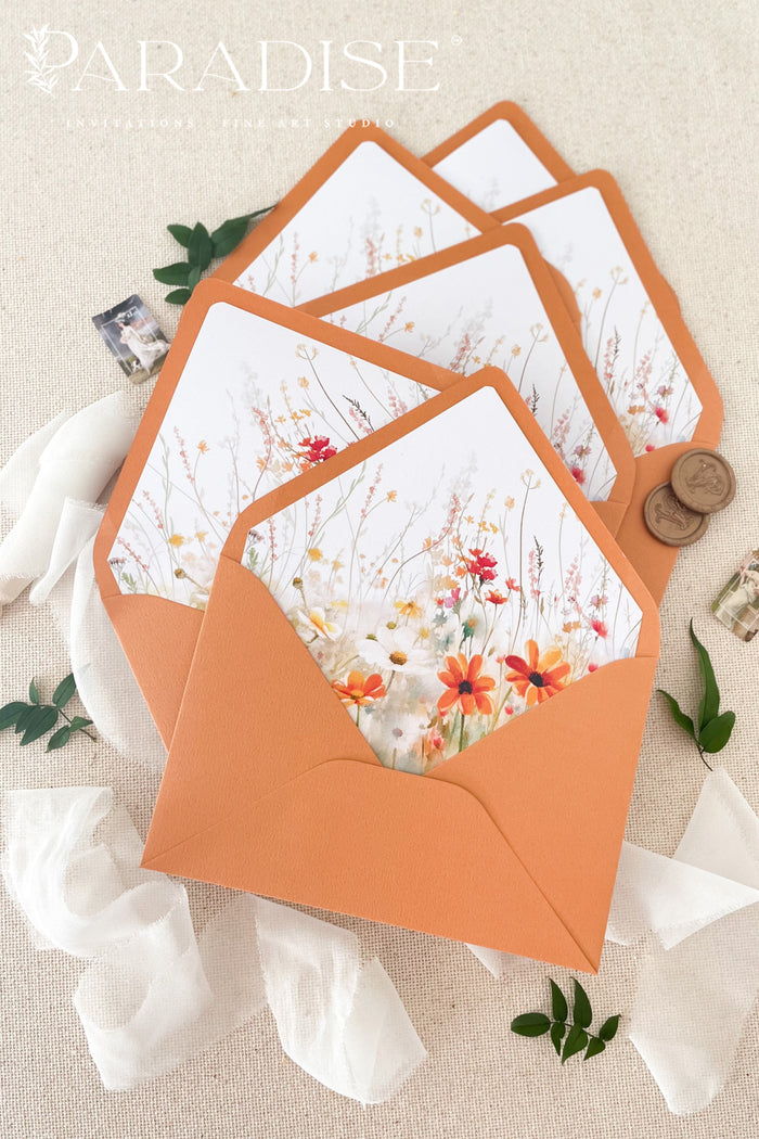 Terracotta Envelopes and Envelope Liners