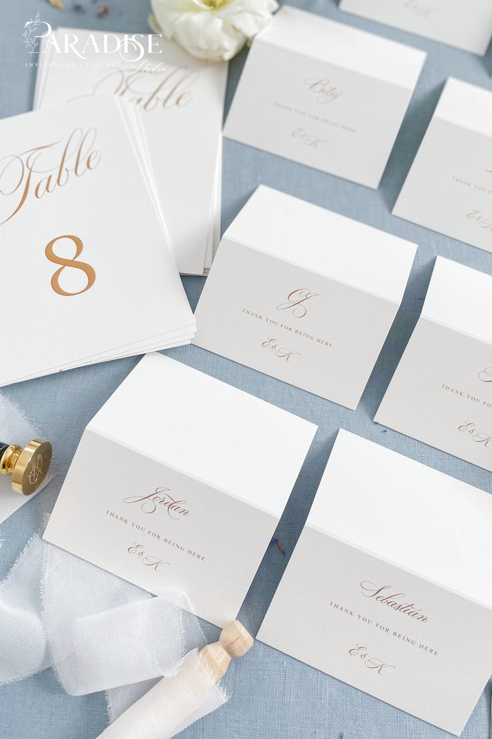 Ivee Modern Calligraphy Place Cards