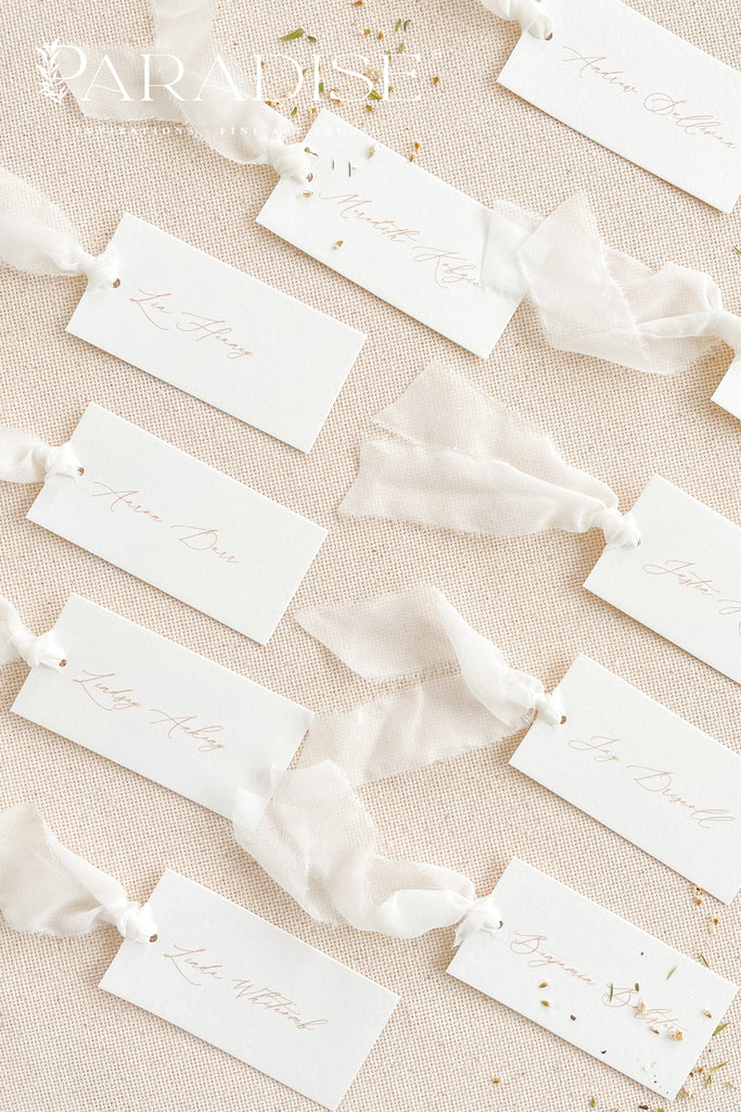 Arnaude Calligraphy Place Cards