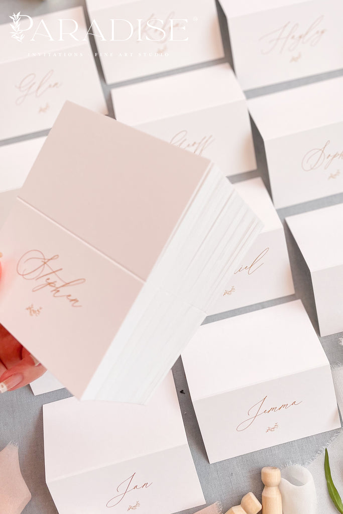 Iva Modern Place Cards