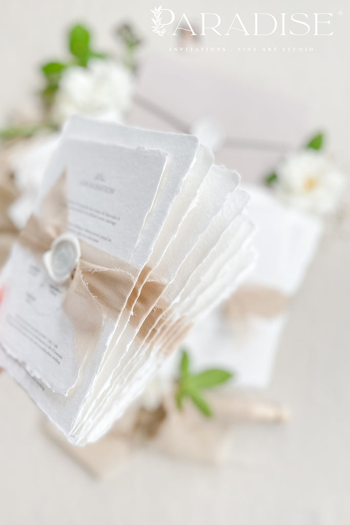 Wedding Invitation Transparent Paper Eyelet Personalized Wedding Stationery  